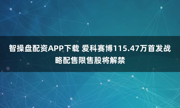 智操盘配资APP下载 爱科赛博115.47万首发战略配售限售股将解禁
