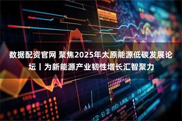 数据配资官网 聚焦2025年太原能源低碳发展论坛丨为新能源产业韧性增长汇智聚力